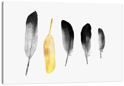 Golden Feather Canvas Art Print