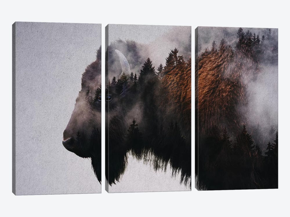 Bison by Andreas Lie 3-piece Canvas Art