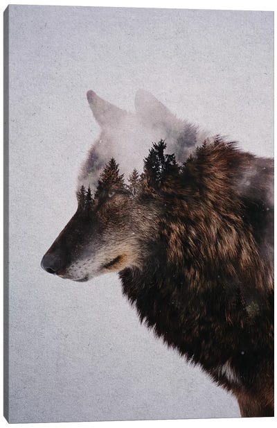 Wolf IX Canvas Art Print - Double Exposure Photography