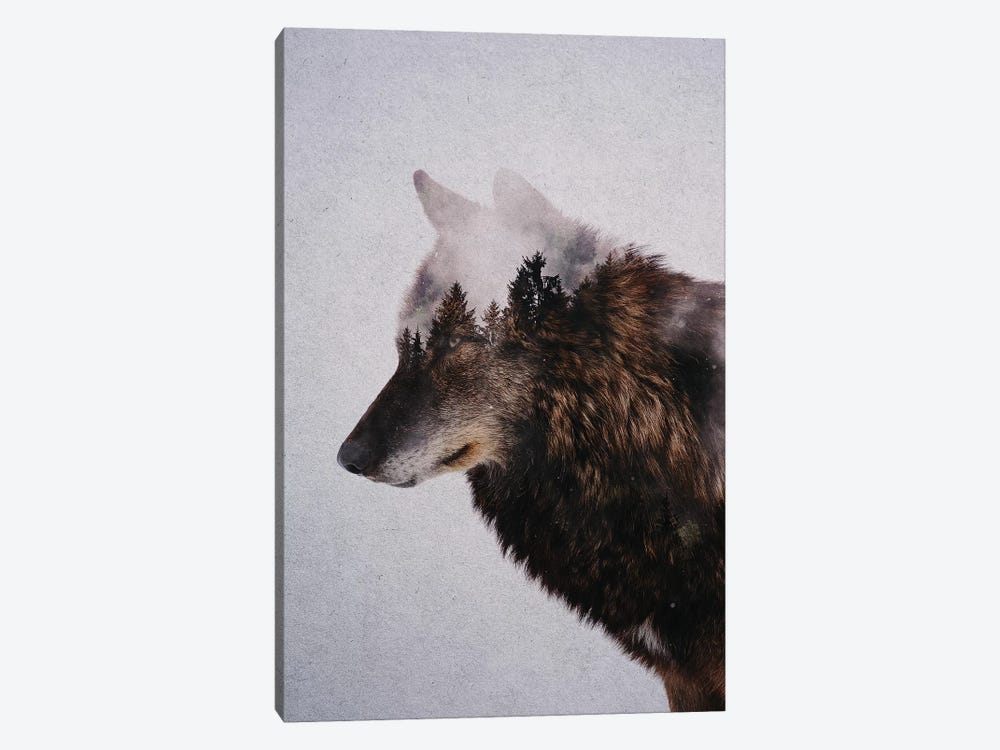 Wolf IX by Andreas Lie 1-piece Canvas Wall Art