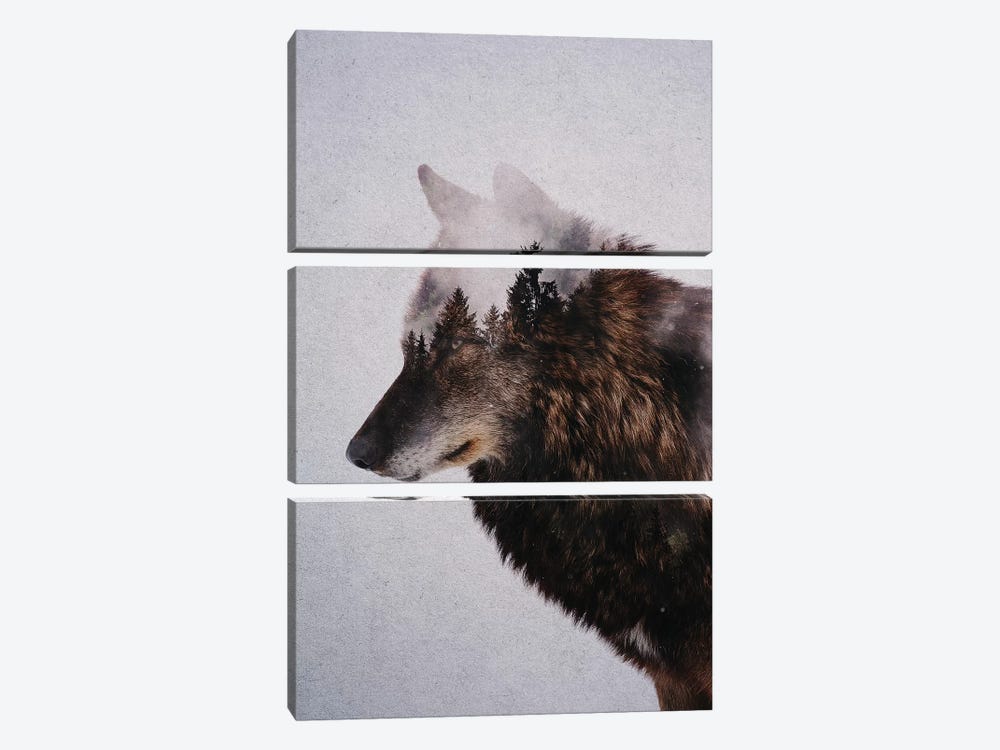 Wolf IX by Andreas Lie 3-piece Canvas Wall Art