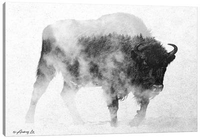 Black & White Buffalo II Canvas Art Print
