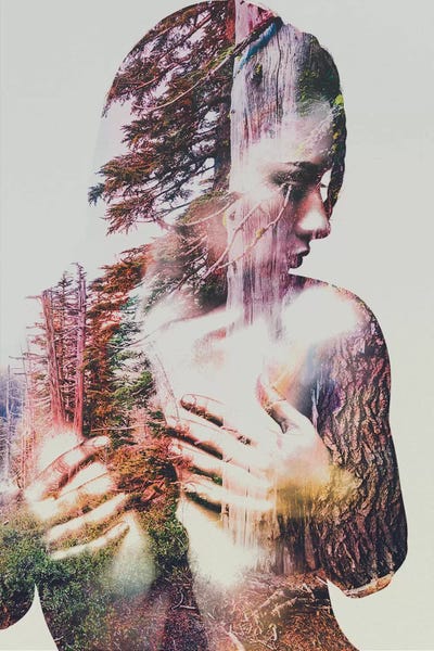 Large Art for Bathroom - Canvas Prints: Wilderness Heart III by Andreas Lie