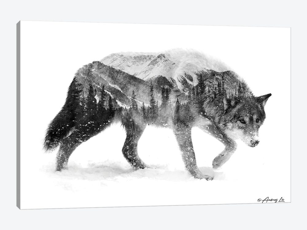 Black & White Wolf I by Andreas Lie 1-piece Canvas Print