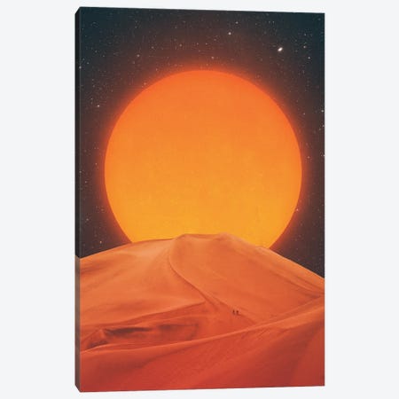 Dune Canvas Print #ALE289} by Andreas Lie Canvas Art Print