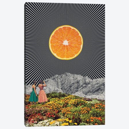 Orange Canvas Print #ALE300} by Andreas Lie Canvas Art
