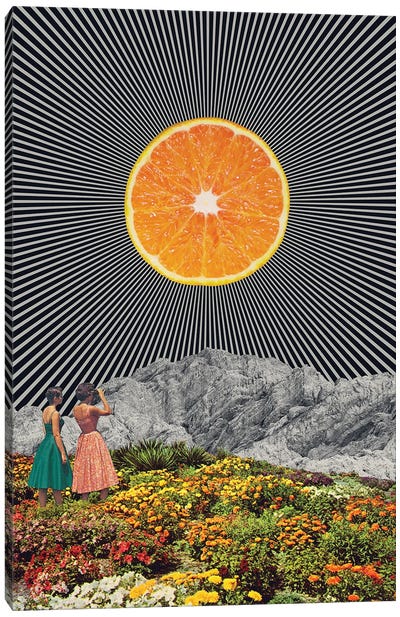 Orange Canvas Art Print - Andreas Lie