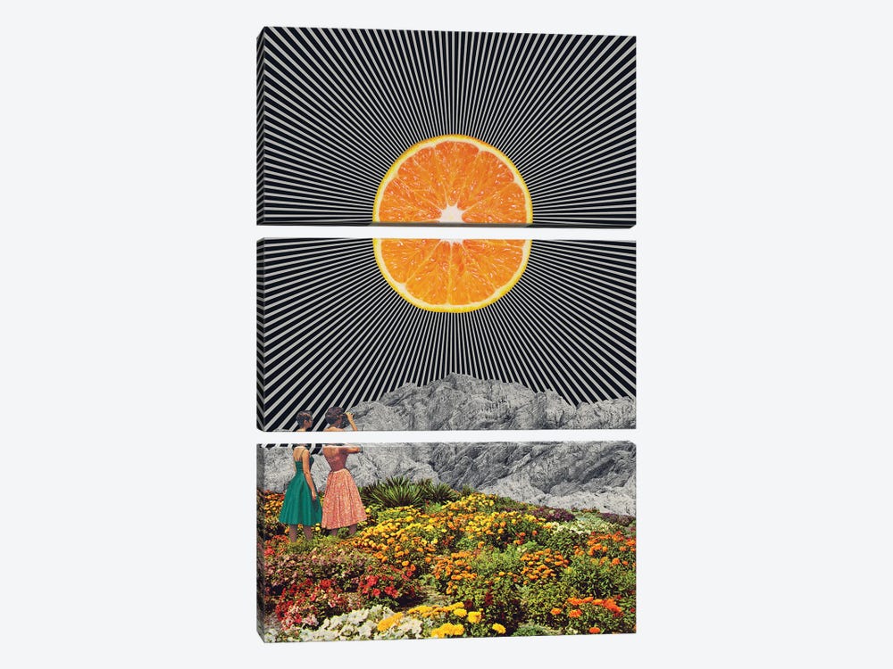 Orange by Andreas Lie 3-piece Canvas Wall Art
