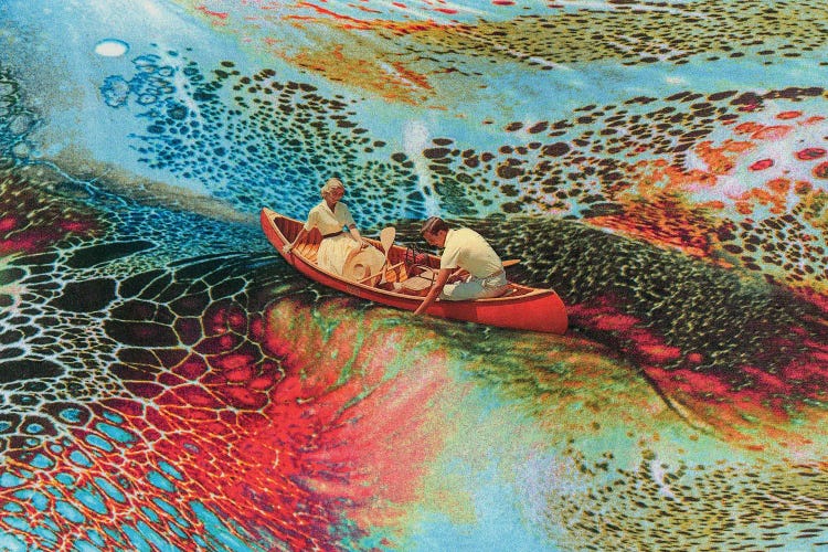 Psychedelic Voyage by Andreas Lie wall art