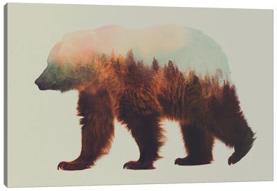 Bjorn Canvas Art Print - Bear Art