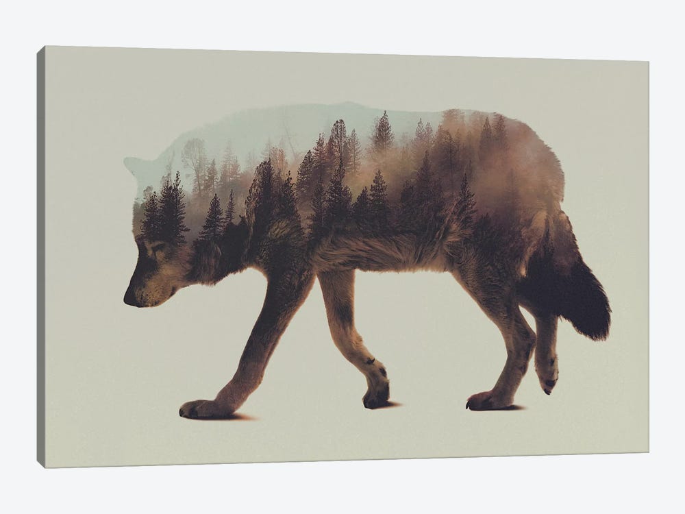 Wolf I Canvas Art Print by Andreas Lie | iCanvas