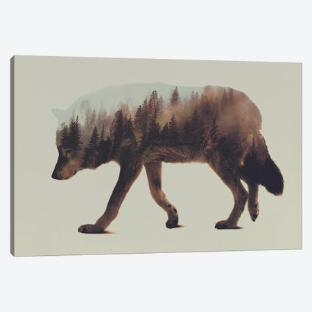 Wolf I Canvas Print #ALE3} by Andreas Lie Art Print