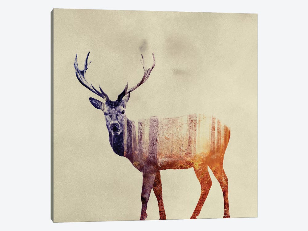 Deer I by Andreas Lie 1-piece Art Print