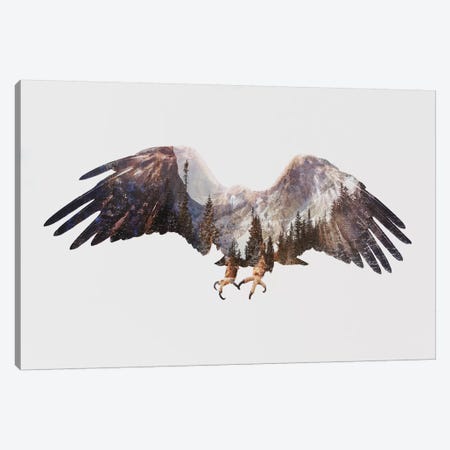 Arctic Eagle Canvas Print #ALE81} by Andreas Lie Canvas Wall Art