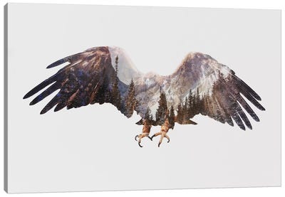 Arctic Eagle Canvas Art Print - Double Exposure Photography