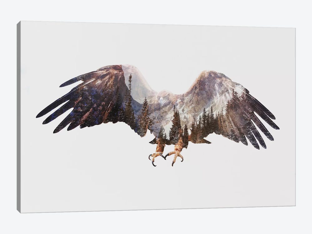 Arctic Eagle by Andreas Lie 1-piece Canvas Art
