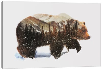 Arctic Grizzly Bear Canvas Art Print - Best Selling Scenic Art