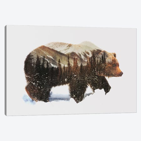 Arctic Grizzly Bear Canvas Print #ALE82} by Andreas Lie Canvas Art