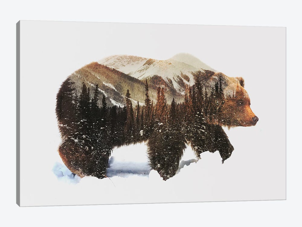 Arctic Grizzly Bear by Andreas Lie 1-piece Canvas Art Print