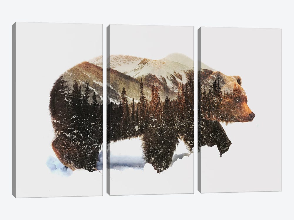Arctic Grizzly Bear by Andreas Lie 3-piece Art Print