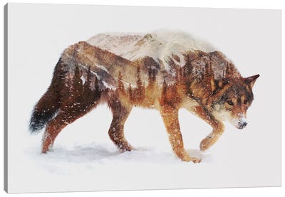Arctic Wolf Canvas Art Print - Scenic & Landscape Art