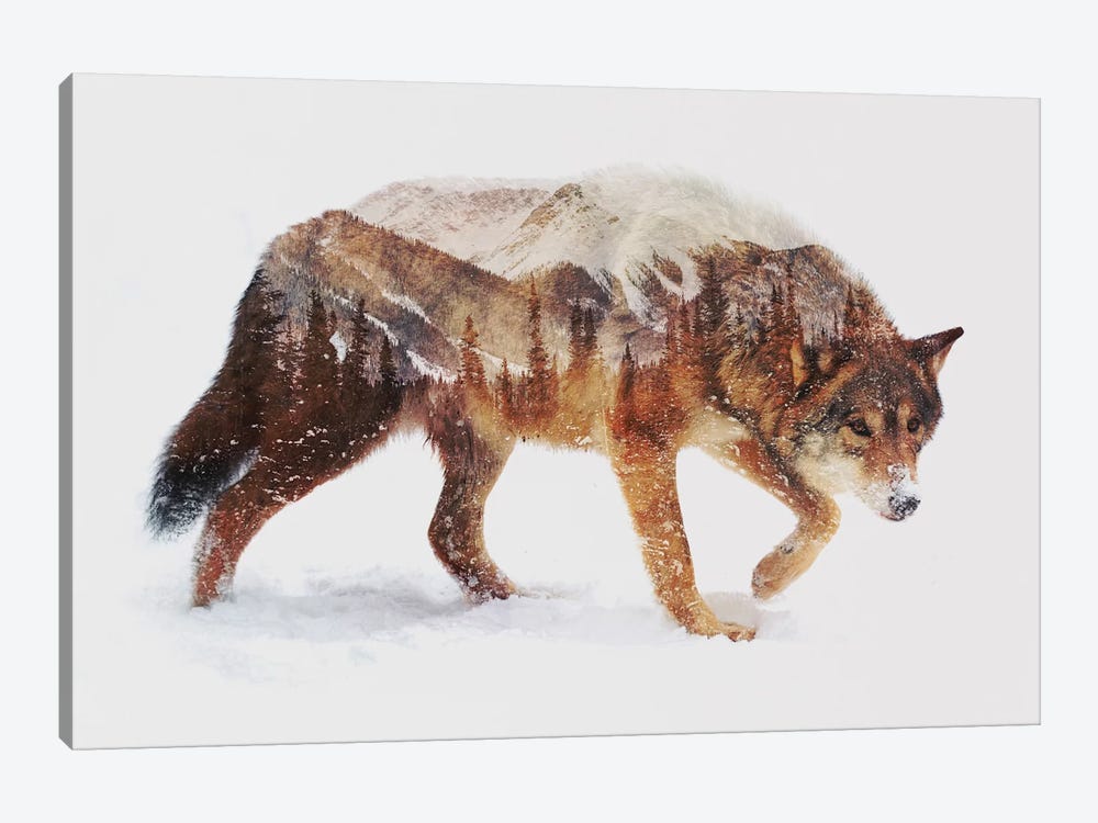 Arctic Wolf by Andreas Lie 1-piece Canvas Artwork