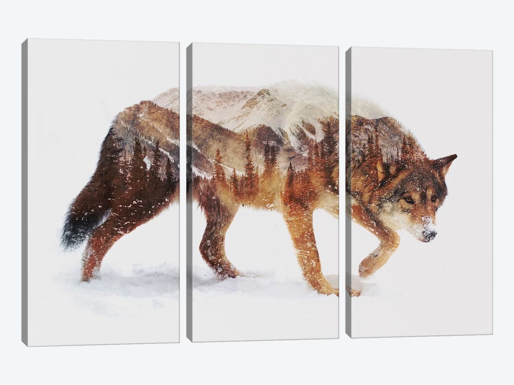 Arctic Wolf by Andreas Lie 3-piece Canvas Wall Art