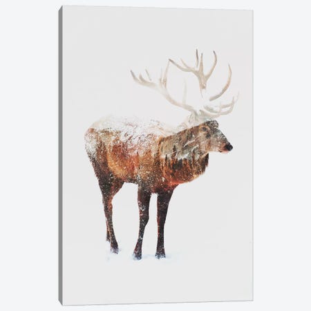Deer V Canvas Print #ALE84} by Andreas Lie Canvas Print