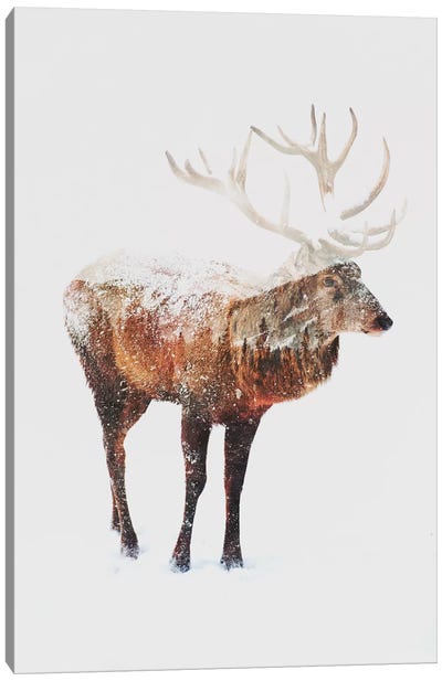 Deer V Canvas Art Print - Winter Art