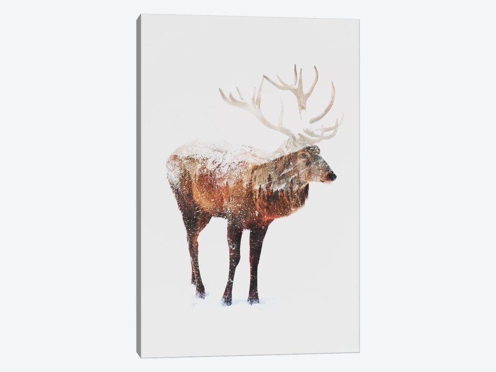 Deer V by Andreas Lie 1-piece Canvas Art Print