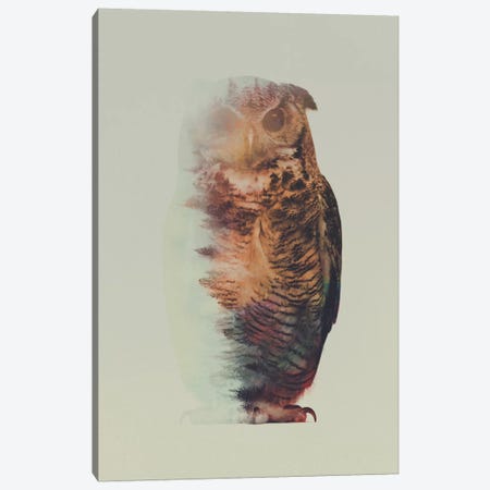 Owl Canvas Print #ALE87} by Andreas Lie Canvas Art Print