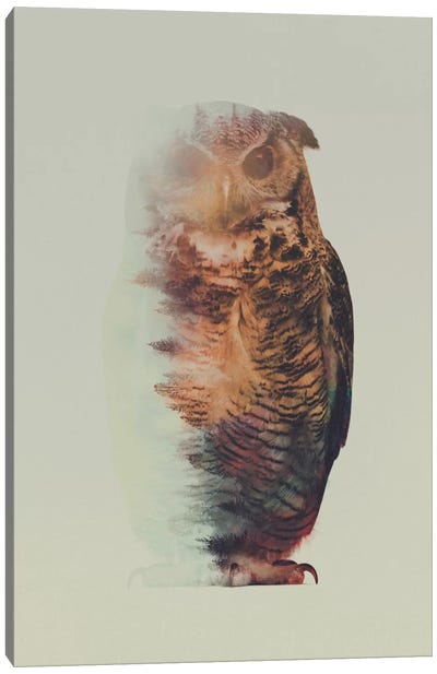 Owl Canvas Art Print - Double Exposure Photography