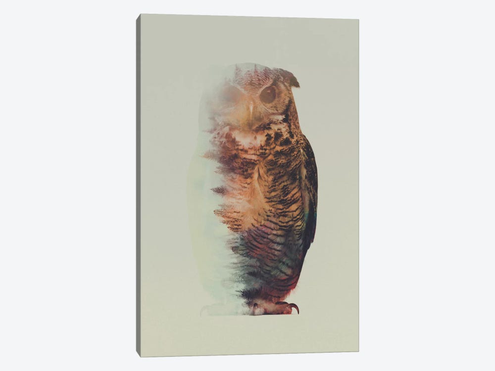 Owl by Andreas Lie 1-piece Canvas Art