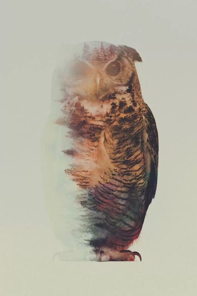 Double Exposure Photography: Owl by Andreas Lie