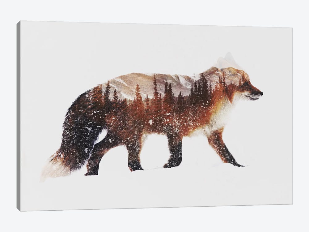 Arctic Red Fox by Andreas Lie 1-piece Canvas Artwork