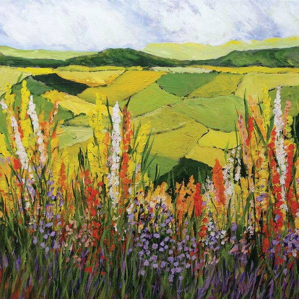 Hillsides: How Green is my Valley by Allan Friedlander