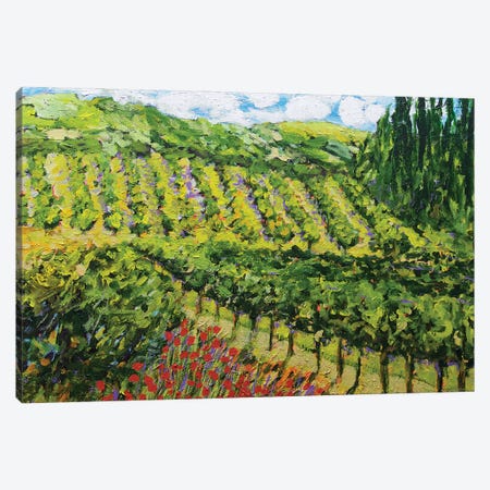 Mountain Vineyard Canvas Print #ALF36} by Allan Friedlander Canvas Art Print