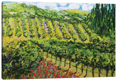 Mountain Vineyard Canvas Art Print
