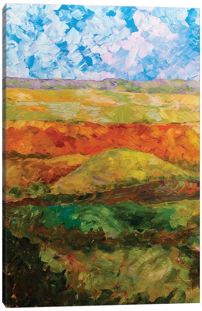 Canyon Ridge I Canvas Art Print