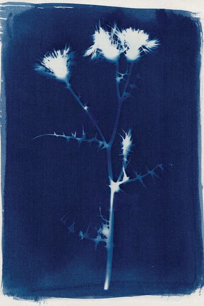 Indigo: Magic In The Ordinary II by Alisa Galitsyna