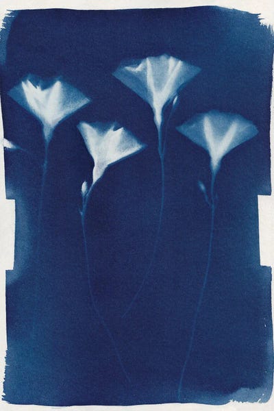 Indigo: Magic In The Ordinary III by Alisa Galitsyna