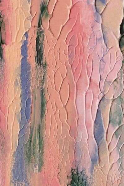 Mars Exploration IV by Alisa Galitsyna framed canvas print