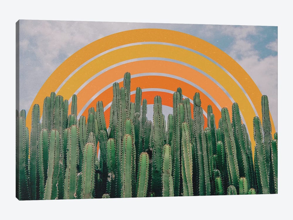 Cactus And Rainbow by Alisa Galitsyna 1-piece Canvas Print