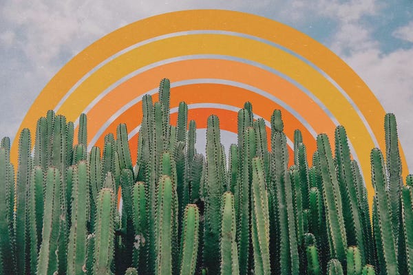 Alisa Galitsyna: Cactus And Rainbow by Alisa Galitsyna