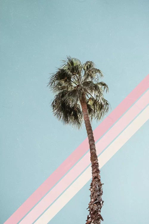 Californication by Alisa Galitsyna wall art