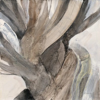 Driftwood I by Albena Hristova canvas print