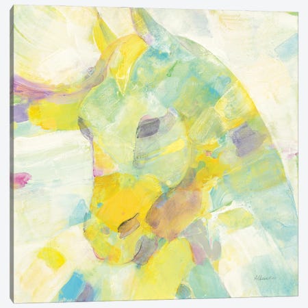 Kaleidoscope Horse III Canvas Print #ALH42} by Albena Hristova Canvas Art Print