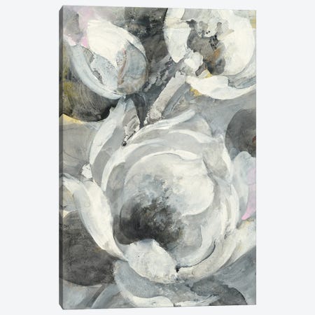 White Delight I Canvas Print #ALH69} by Albena Hristova Art Print
