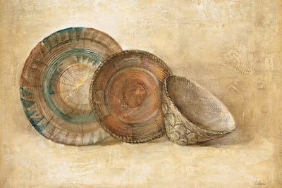 Woven Vessels I by Albena Hristova art print