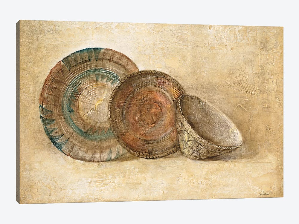 Woven Vessels I by Albena Hristova 1-piece Canvas Artwork